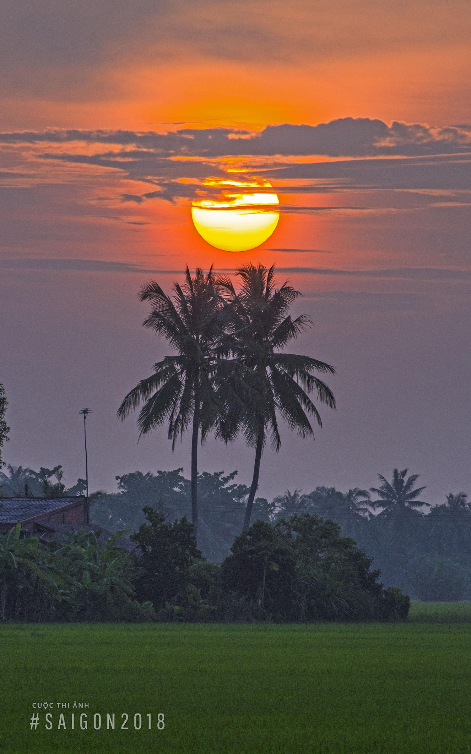 cuoc thi anh Sai Gon 2018 anh 6
