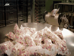 Bat ngo qua trinh lam keo chip chip: Nguon goc tu da lon hinh anh