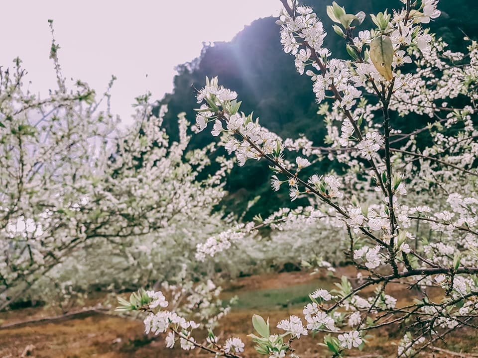 du lich Son La anh 5