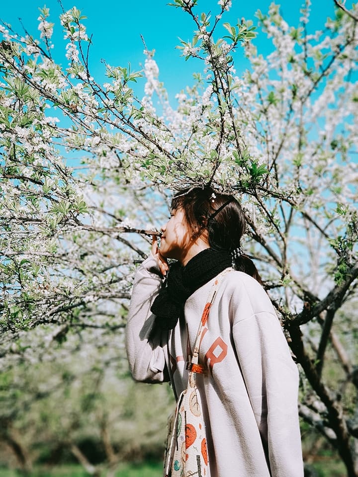 du lich Son La anh 4