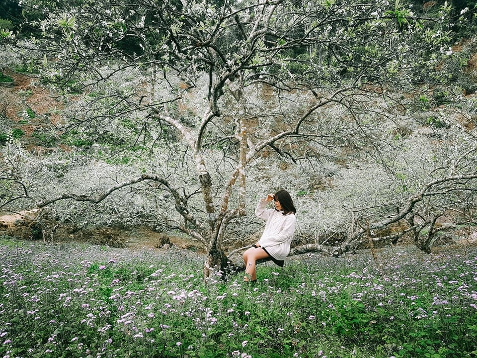 du lich Son La anh 6