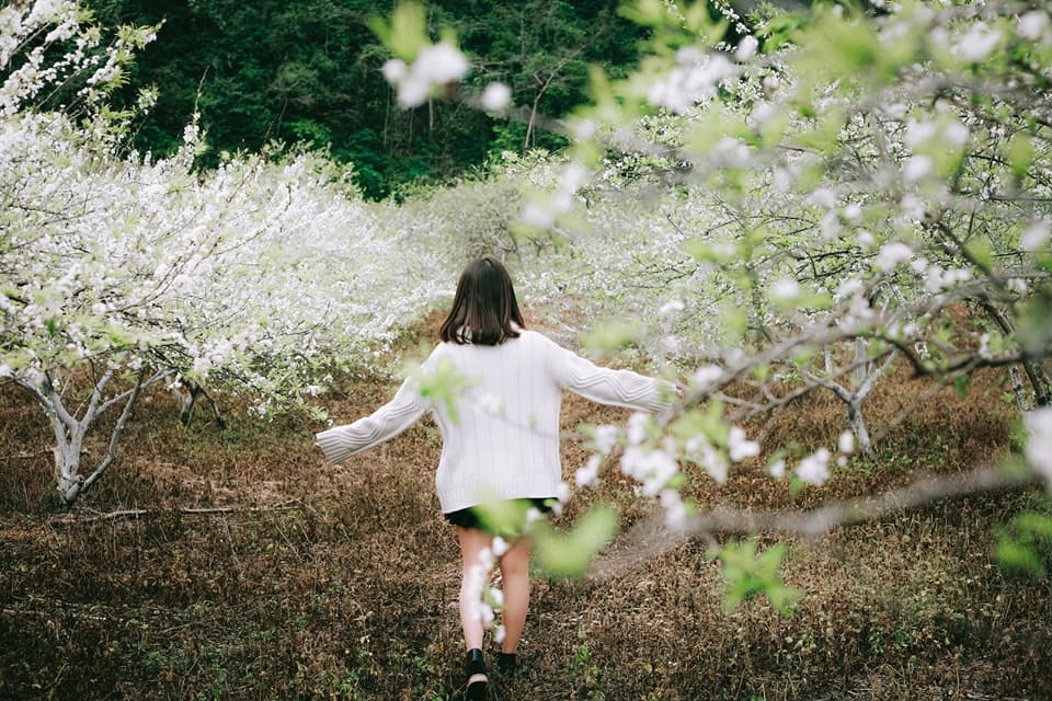 du lich Son La anh 3