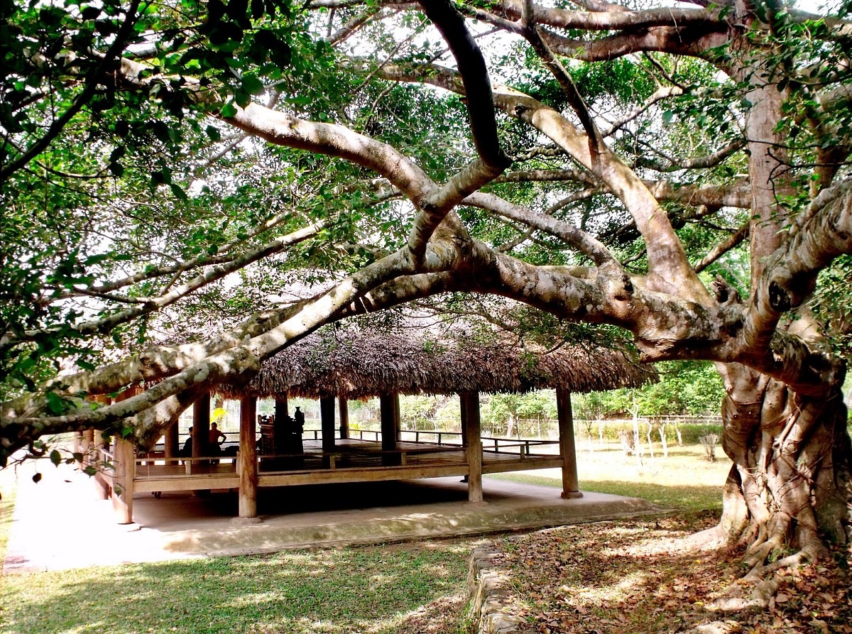 du lich Tuyen Quang anh 19