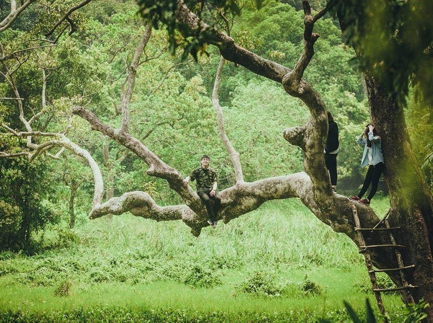 check-in o Da Nang anh 31