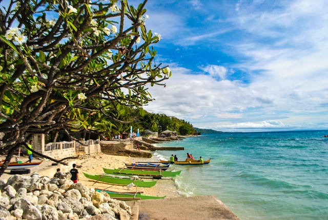 ngam ca map voi o Philippines anh 2