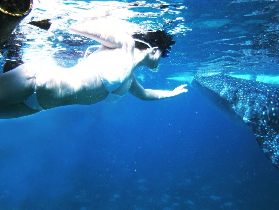 ngam ca map voi o Philippines anh 11