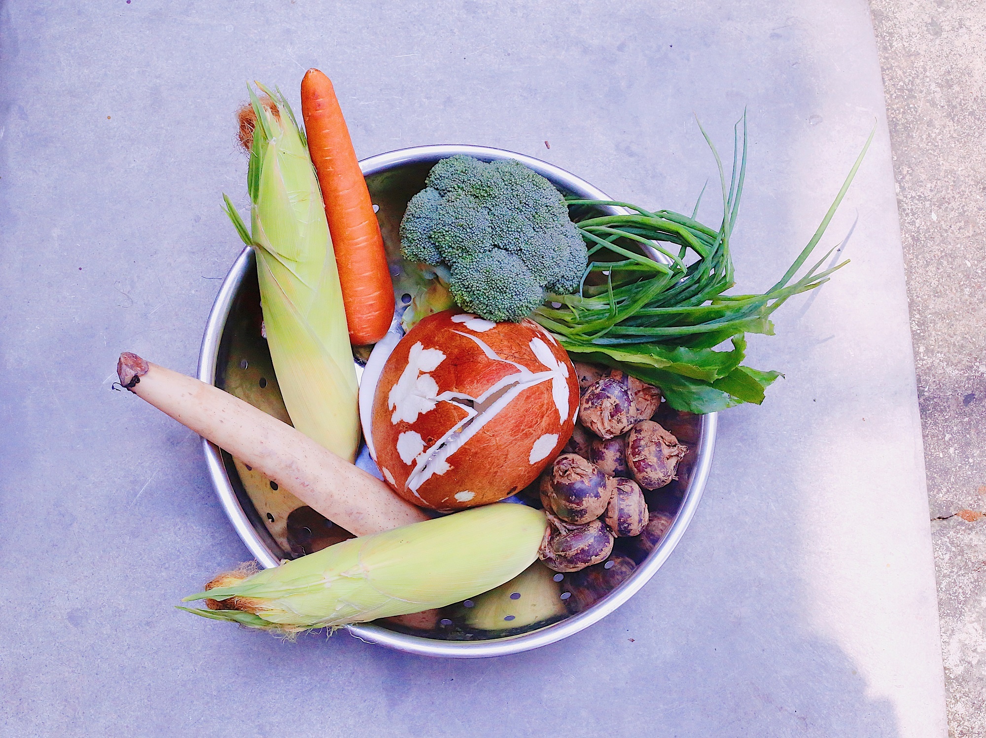 Canh chay sen dua anh 1