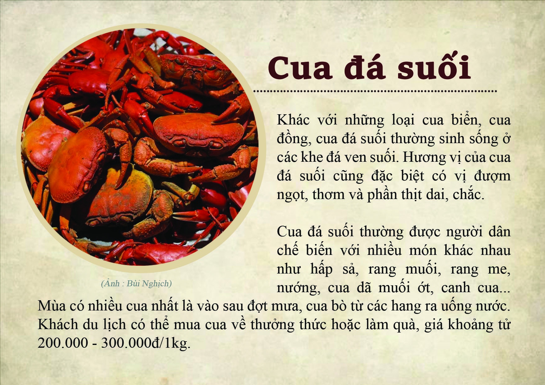 mon ngon Bac Can anh 5