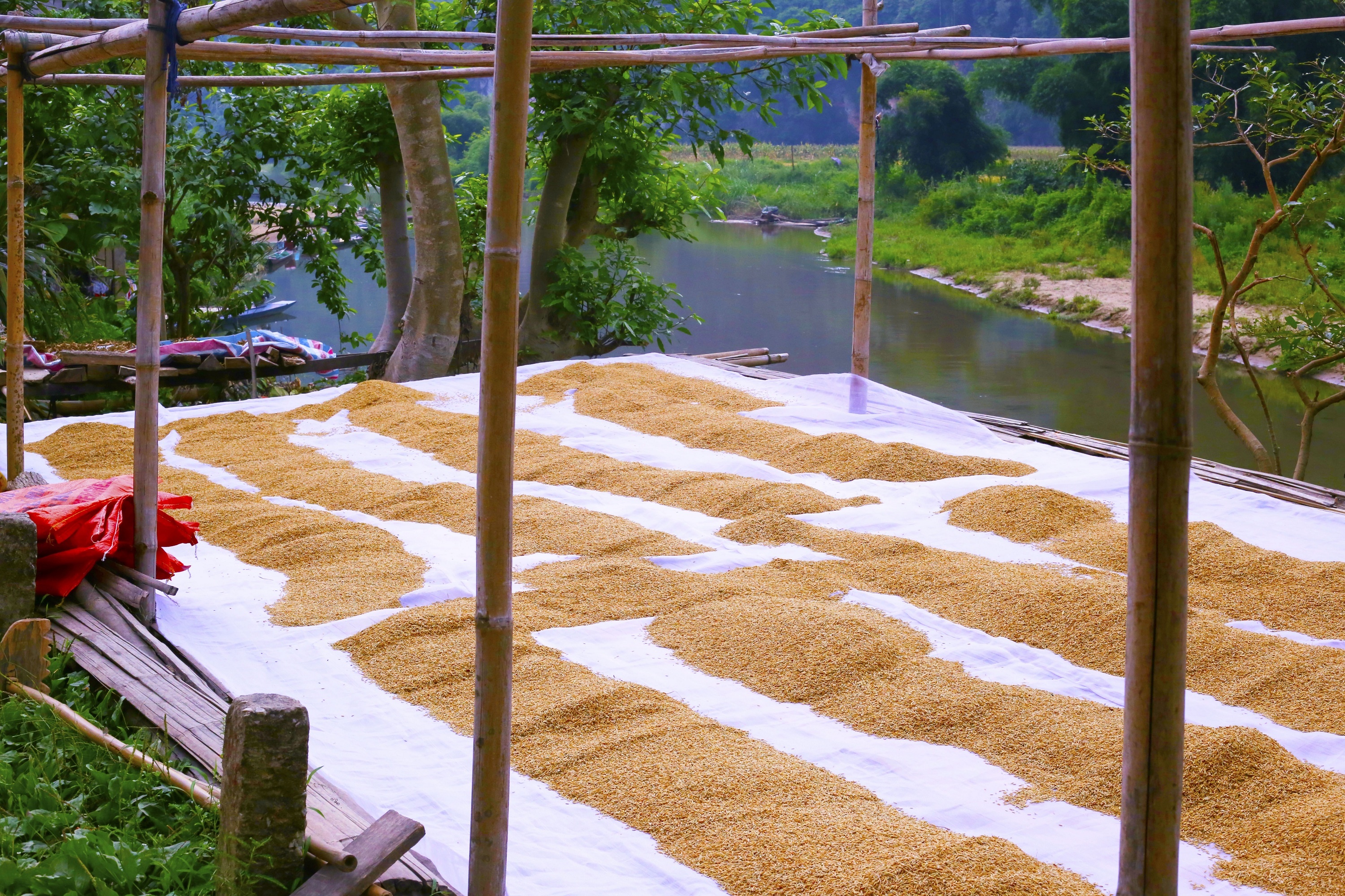 du lịch hồ Ba Bể ảnh 6 du lich ho Ba Be anh 6
