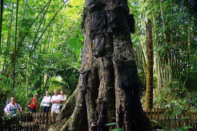 tap tuc ky di o Indonesia anh 8