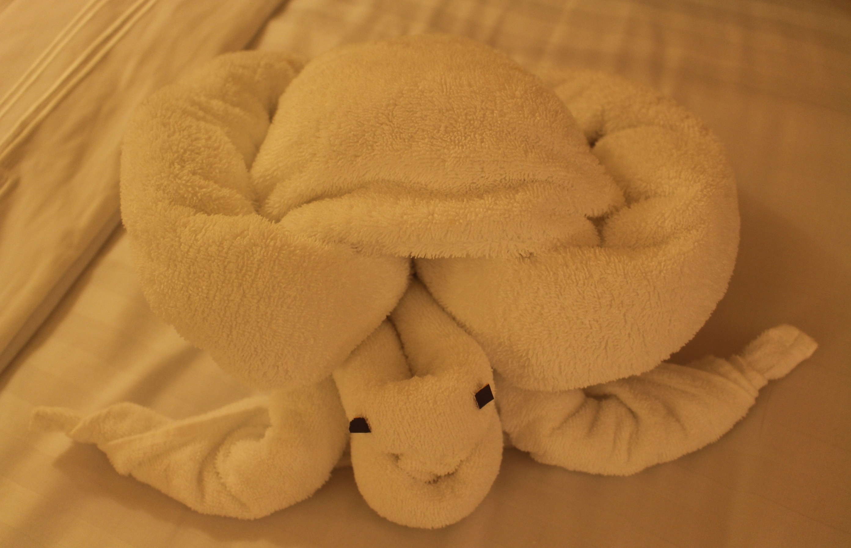 du thuyen Mariner of the Seas anh 10