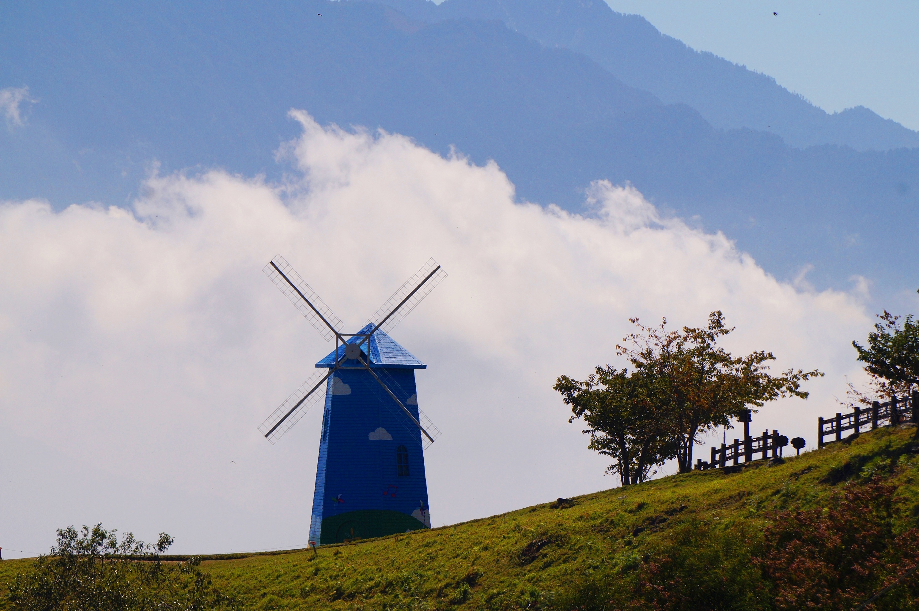 Ngay binh yen o 'Thuy Si thu nho' giua long Dai Loan hinh anh