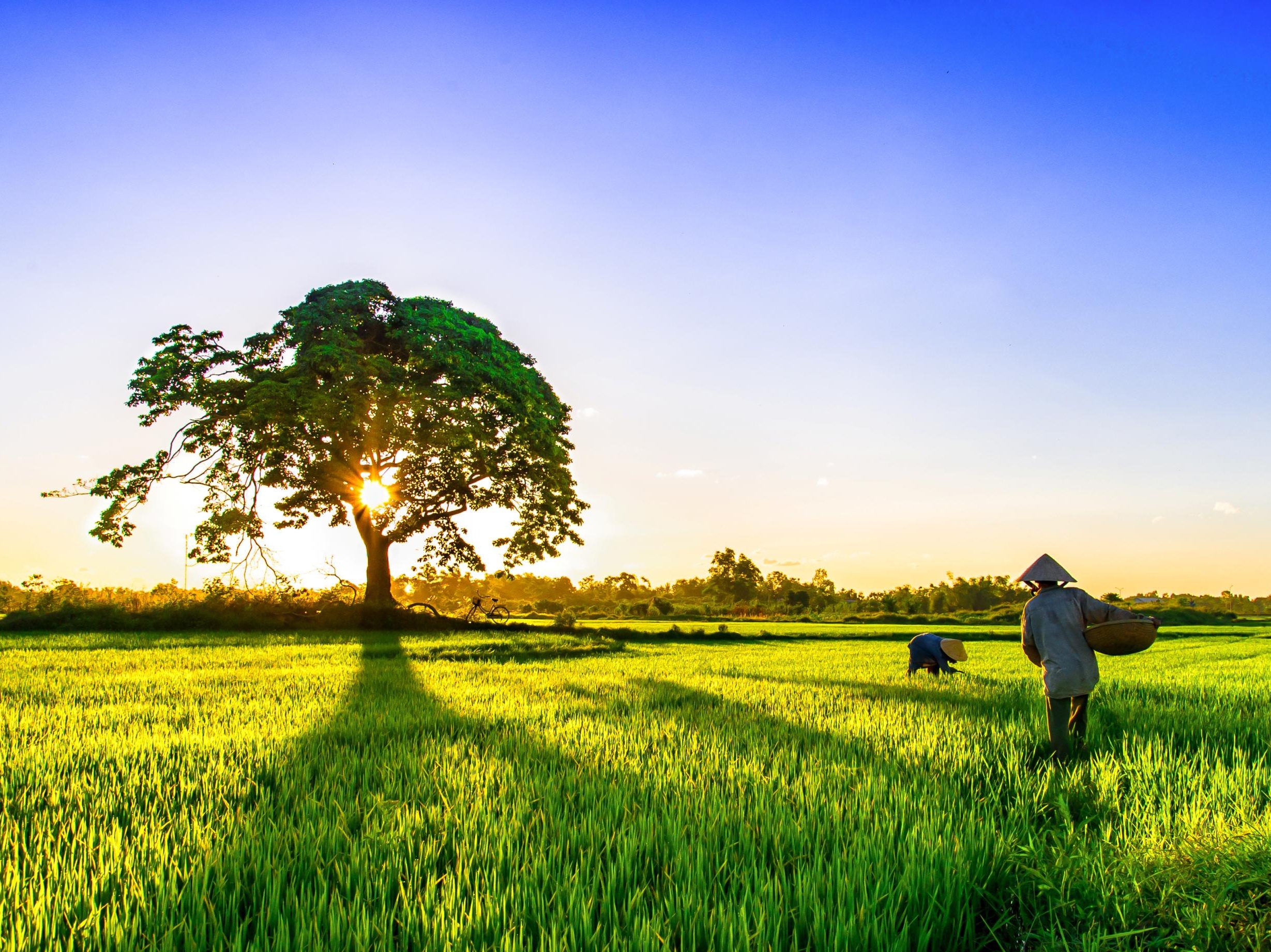 top quoc gia ve trai nghiem du lich anh 6