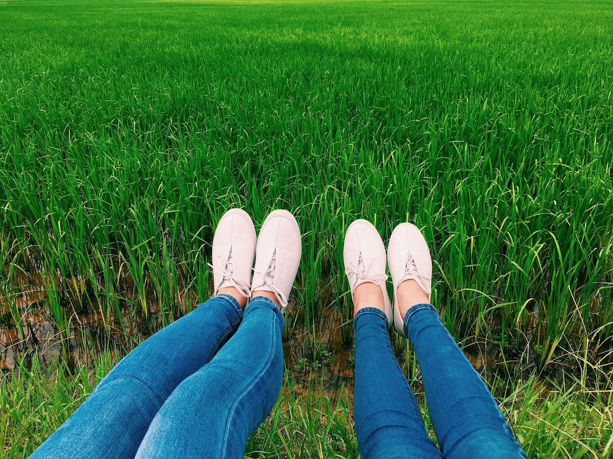 chuyen di cua thanh xuan anh 7