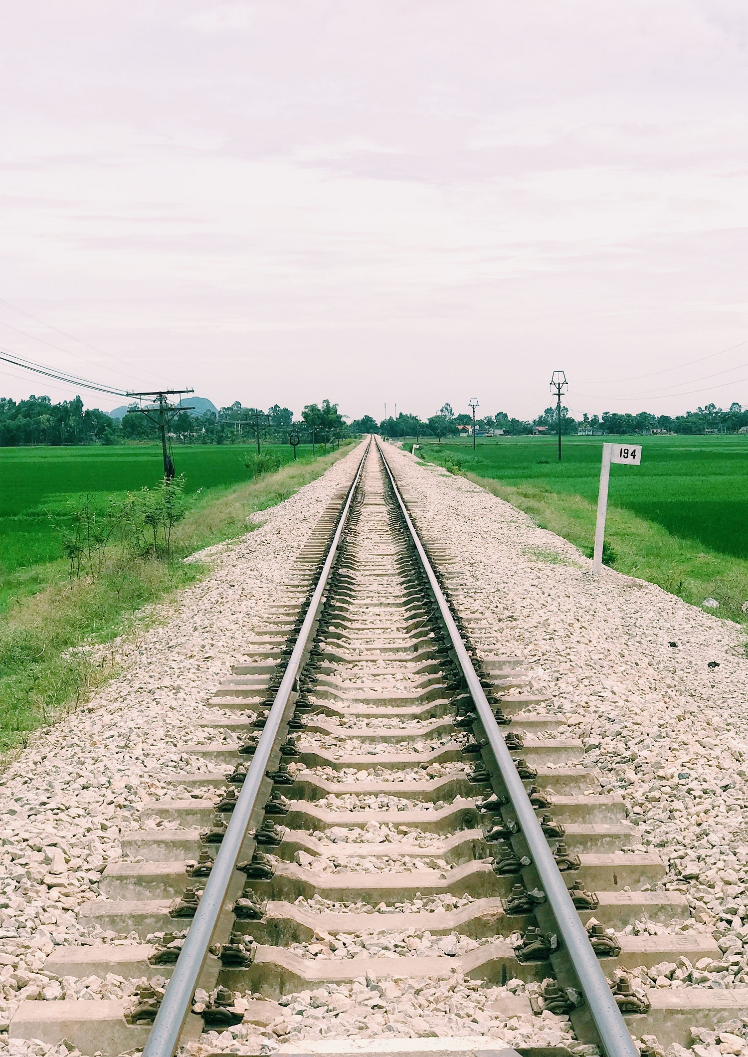 chuyen di cua thanh xuan anh 10