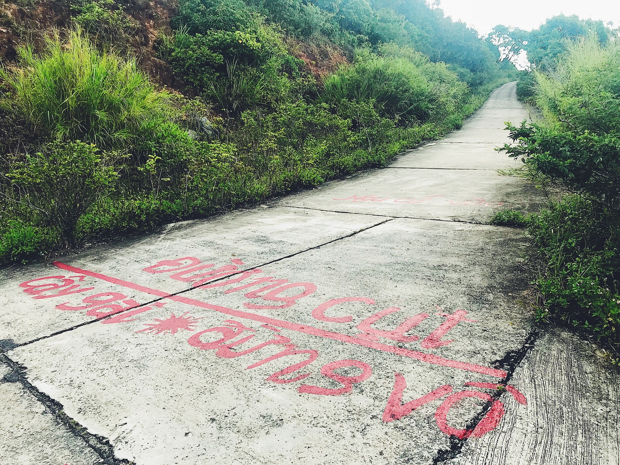 hai dang Tien Sa anh 7