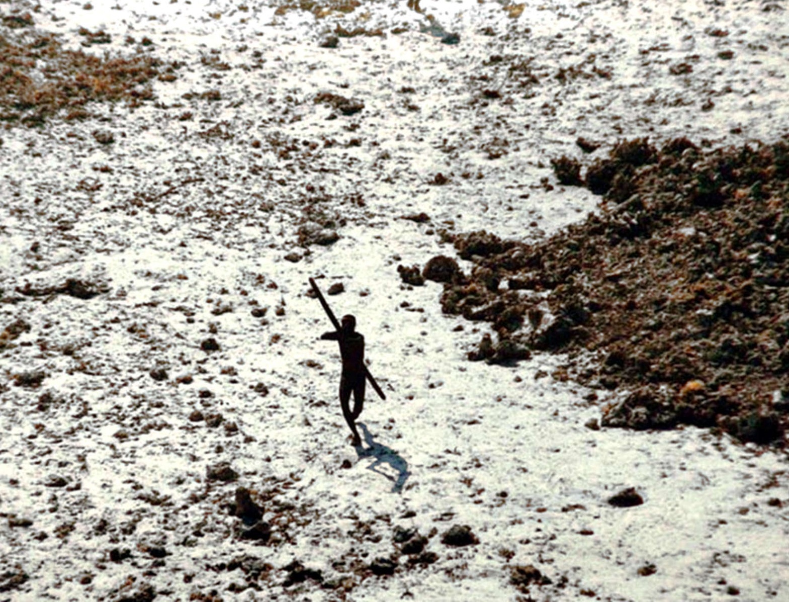 bo lac song co lap voi the gioi anh 10