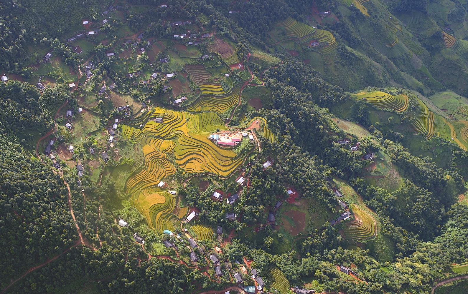 Mu Cang Chai mua lua chin anh 14