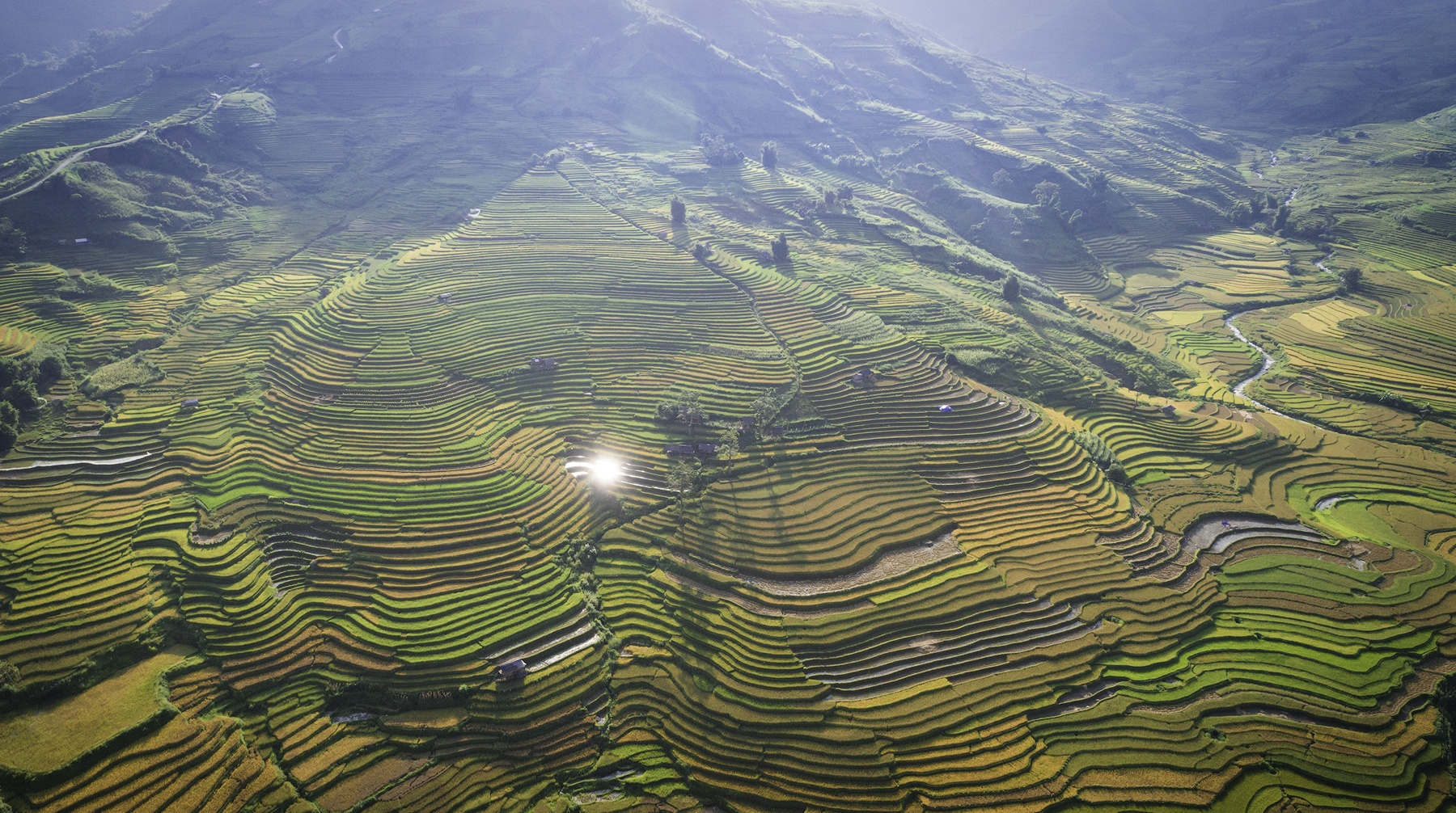 Mu Cang Chai mua lua chin anh 4