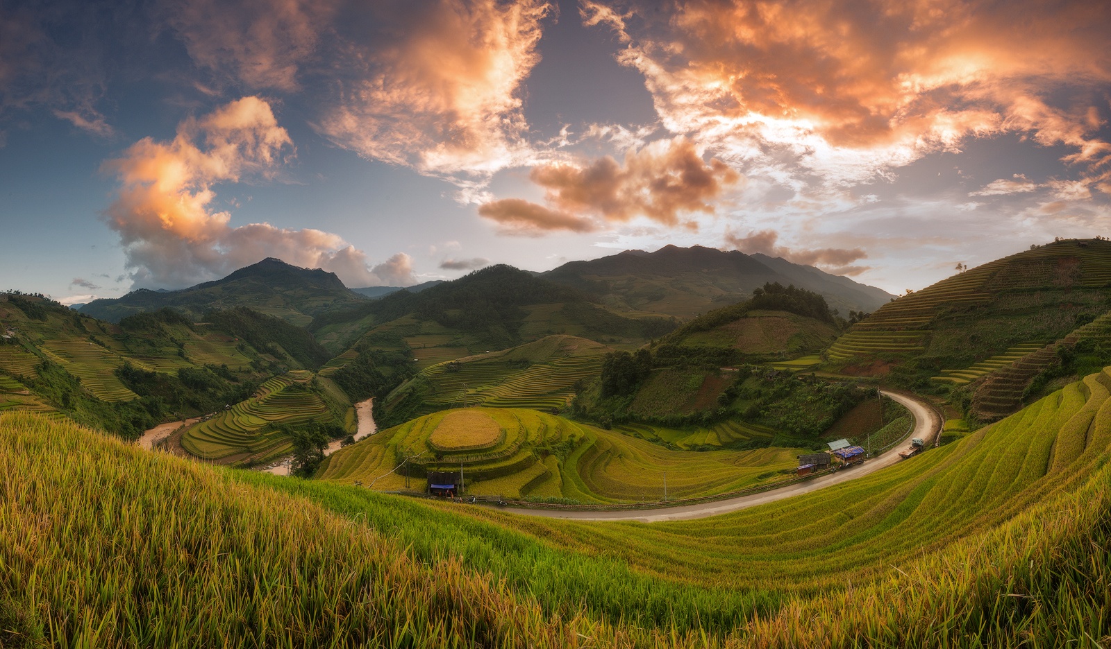 Mu Cang Chai mua lua chin anh 5