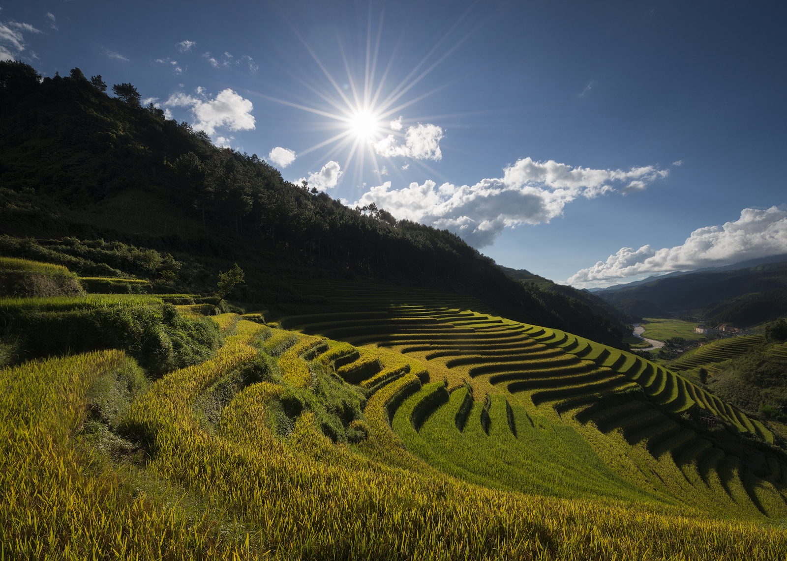 Mu Cang Chai mua lua chin anh 7