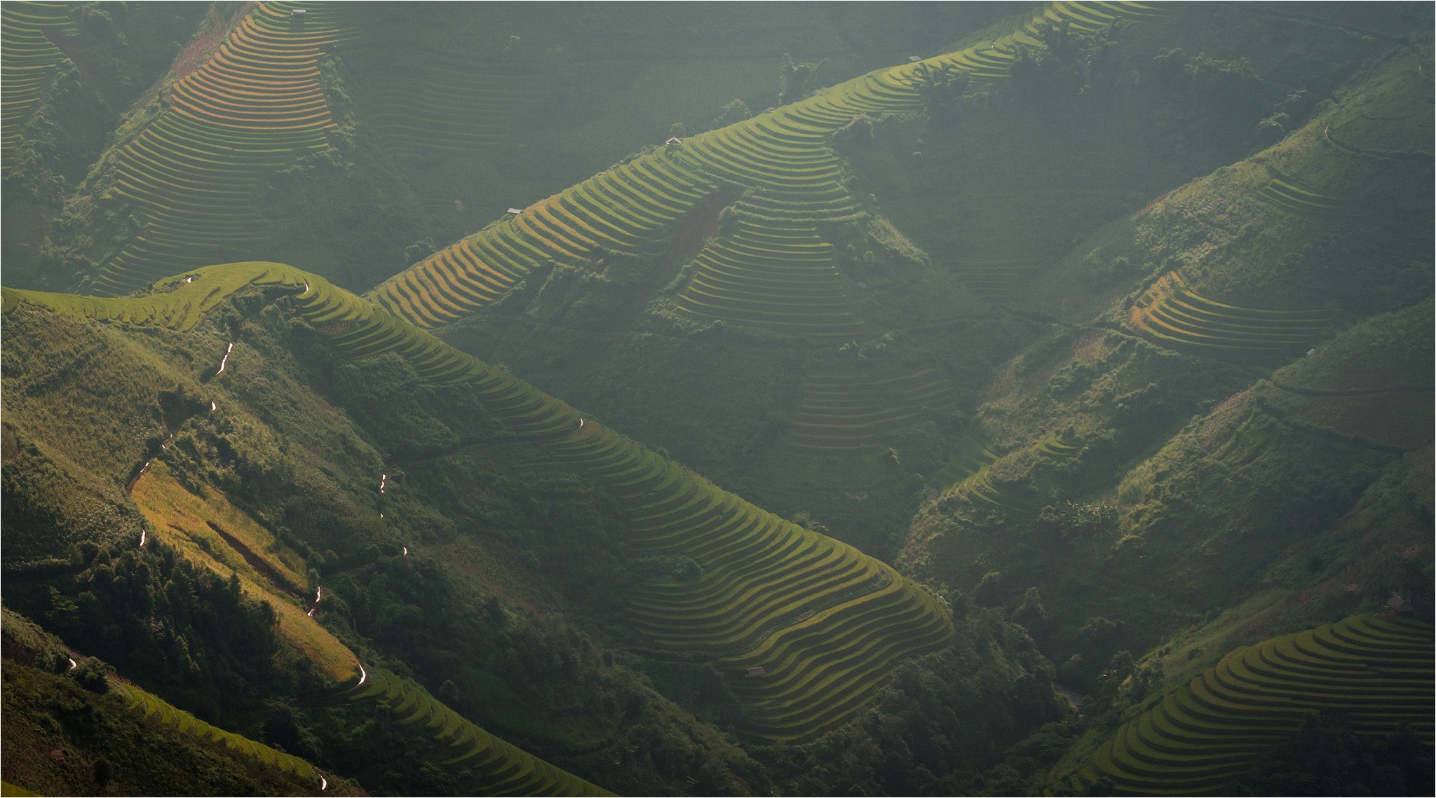 Mu Cang Chai mua lua chin anh 10