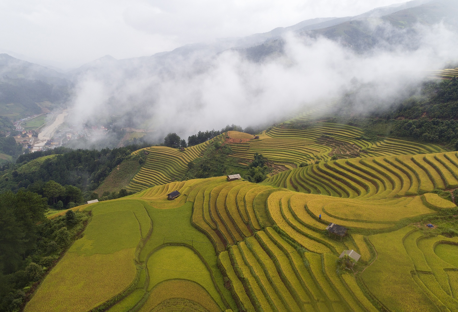 Mu Cang Chai mua lua chin anh 11