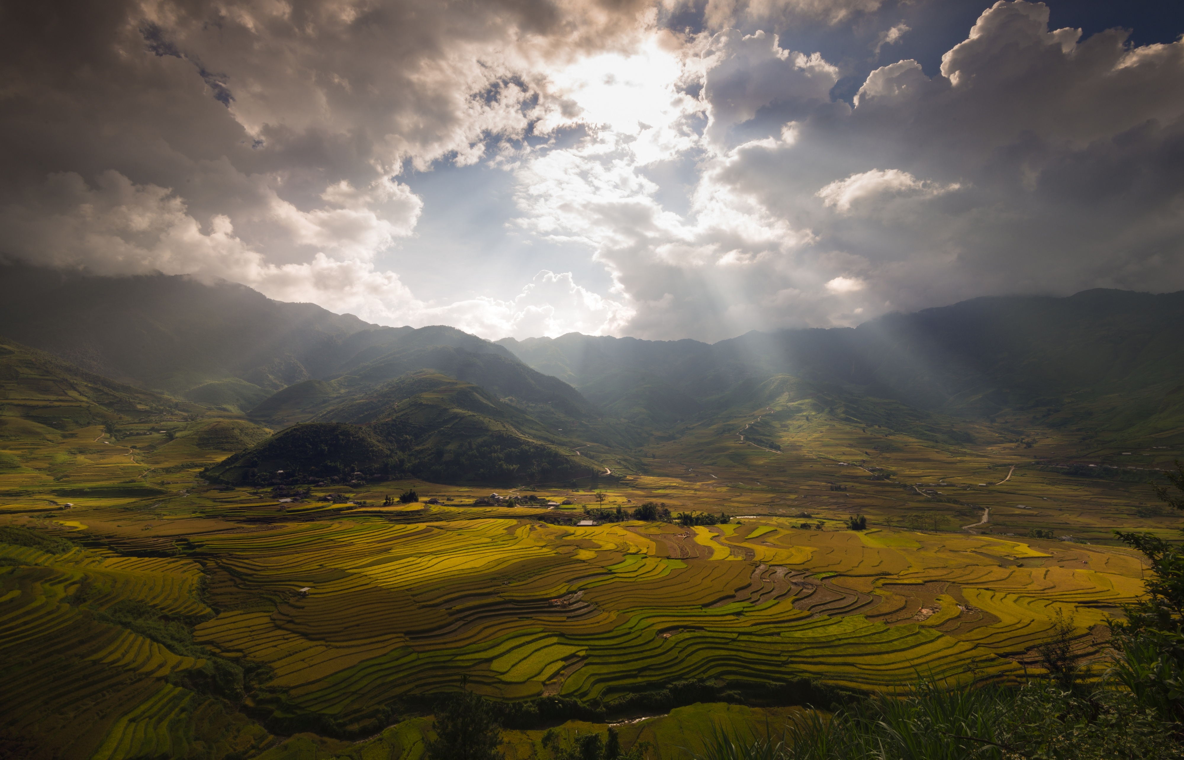 Mu Cang Chai mua lua chin anh 8