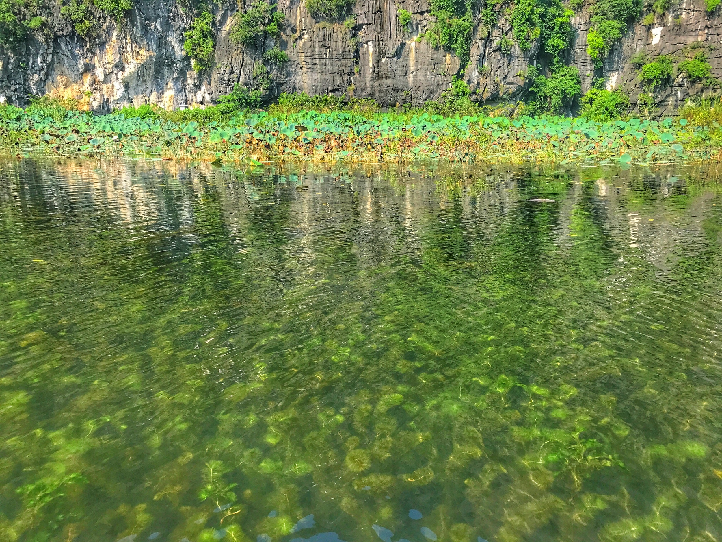 du lich Ninh Binh anh 6