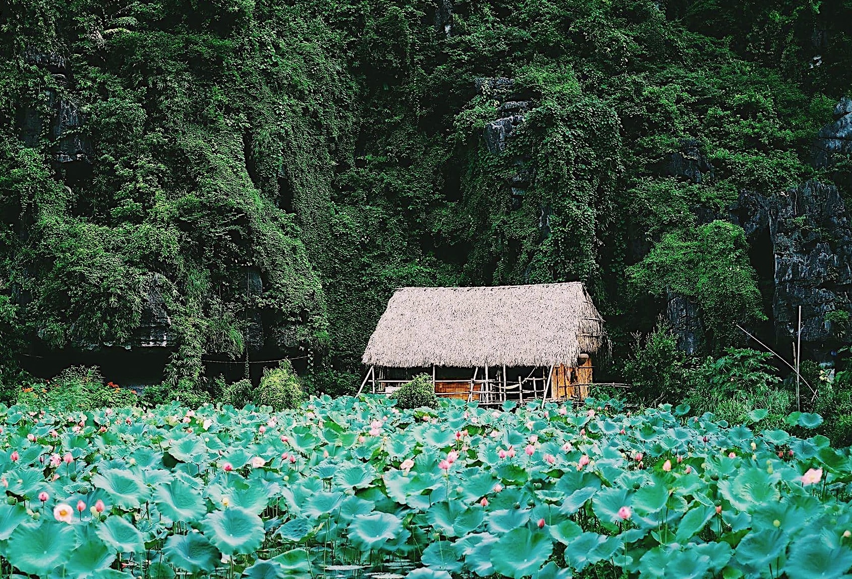 du lich Ninh Binh anh 7
