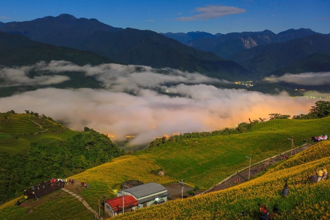 xu so hoa kim cham Hoa Lien anh 5