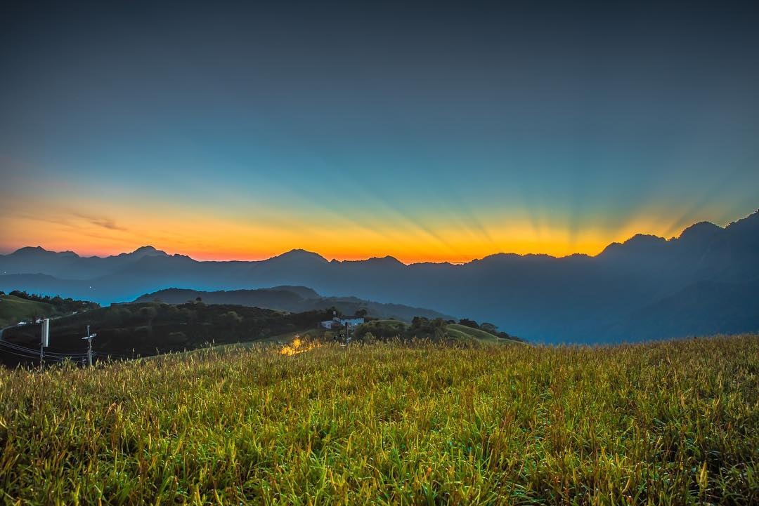 xu so hoa kim cham Hoa Lien anh 6