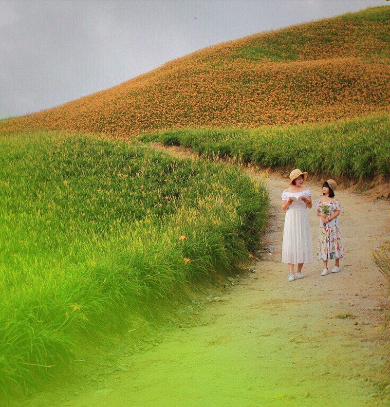 xu so hoa kim cham Hoa Lien anh 8