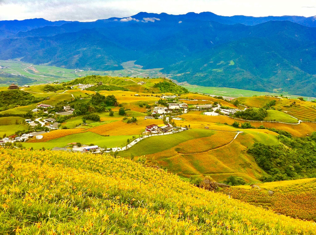 xu so hoa kim cham Hoa Lien anh 10