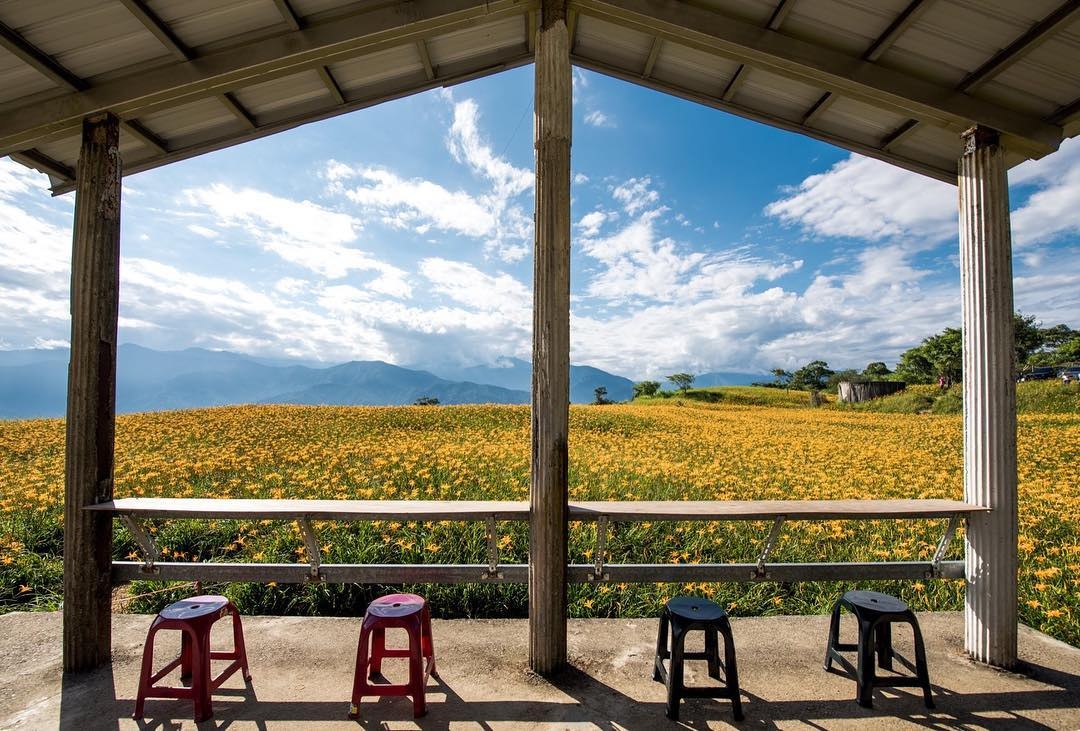 xu so hoa kim cham Hoa Lien anh 12