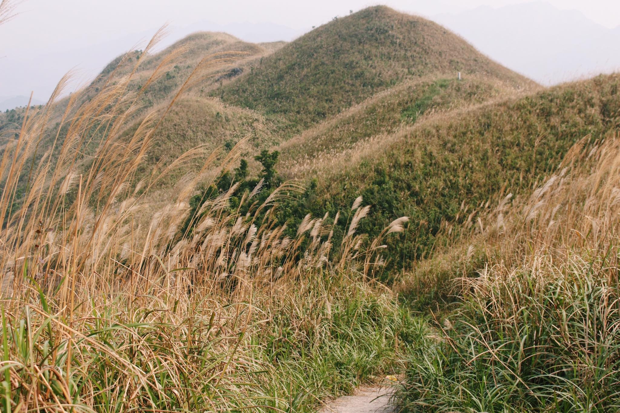 du lịch Bình Liêu ảnh 5 du lich Binh Lieu anh 5