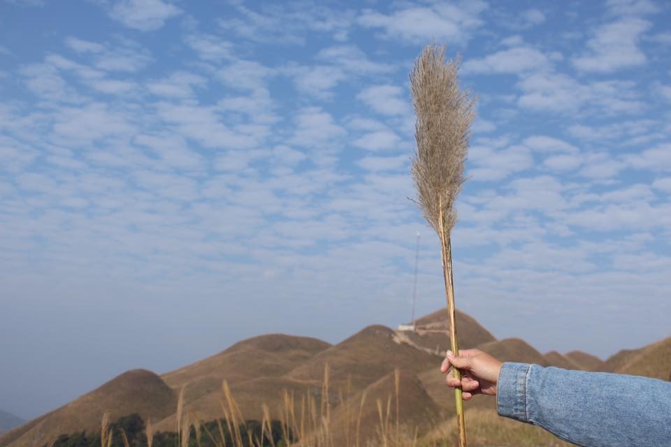 du lịch Bình Liêu ảnh 9 du lich Binh Lieu anh 9