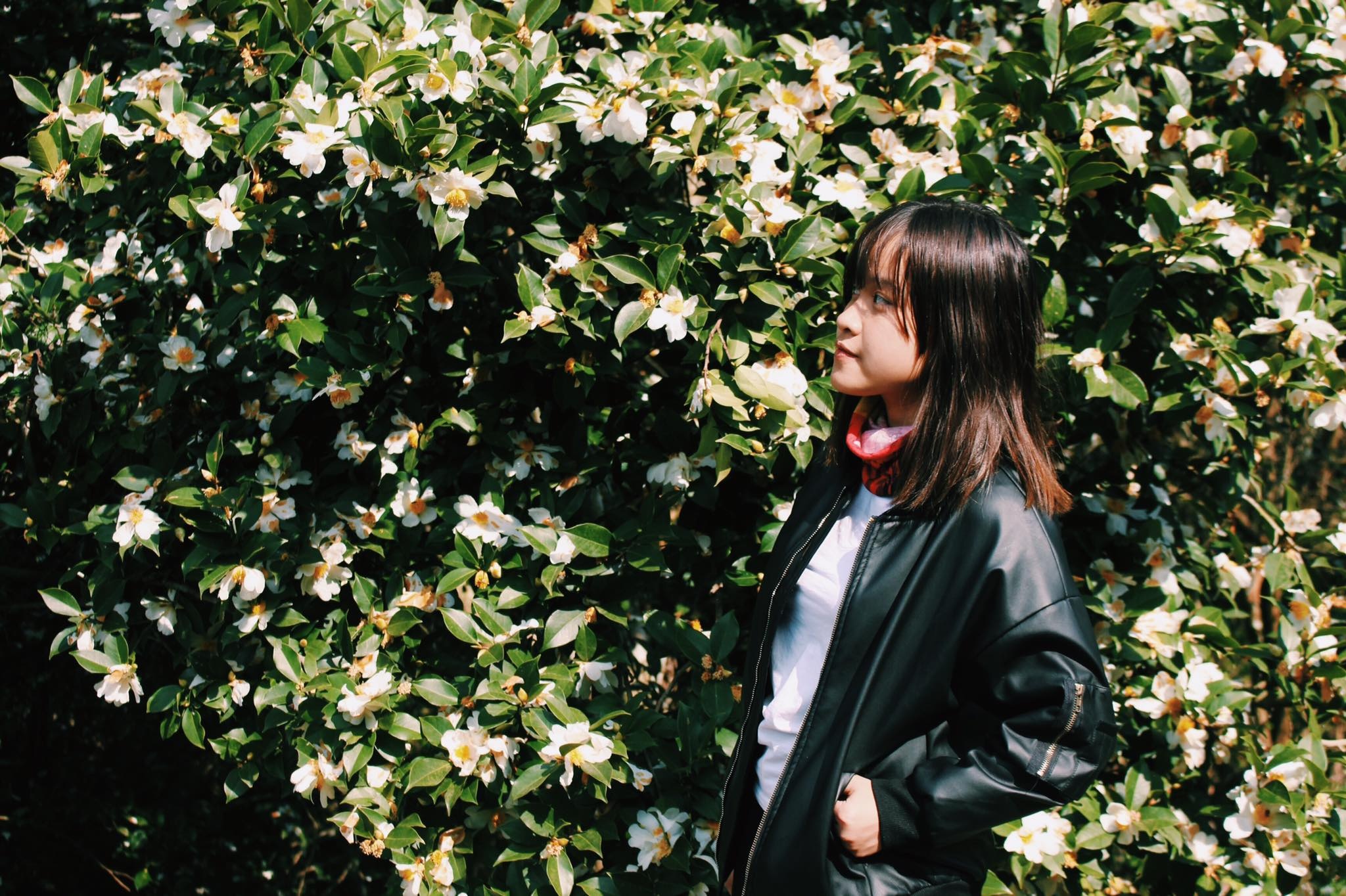 #Mytour: Tuoi 19 va chuyen kham pha thien duong co lau Binh Lieu hinh anh