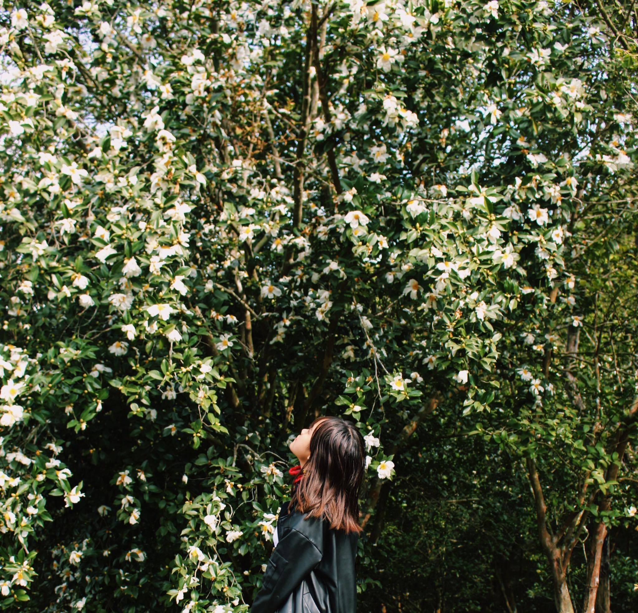 du lịch Bình Liêu ảnh 10 du lich Binh Lieu anh 10