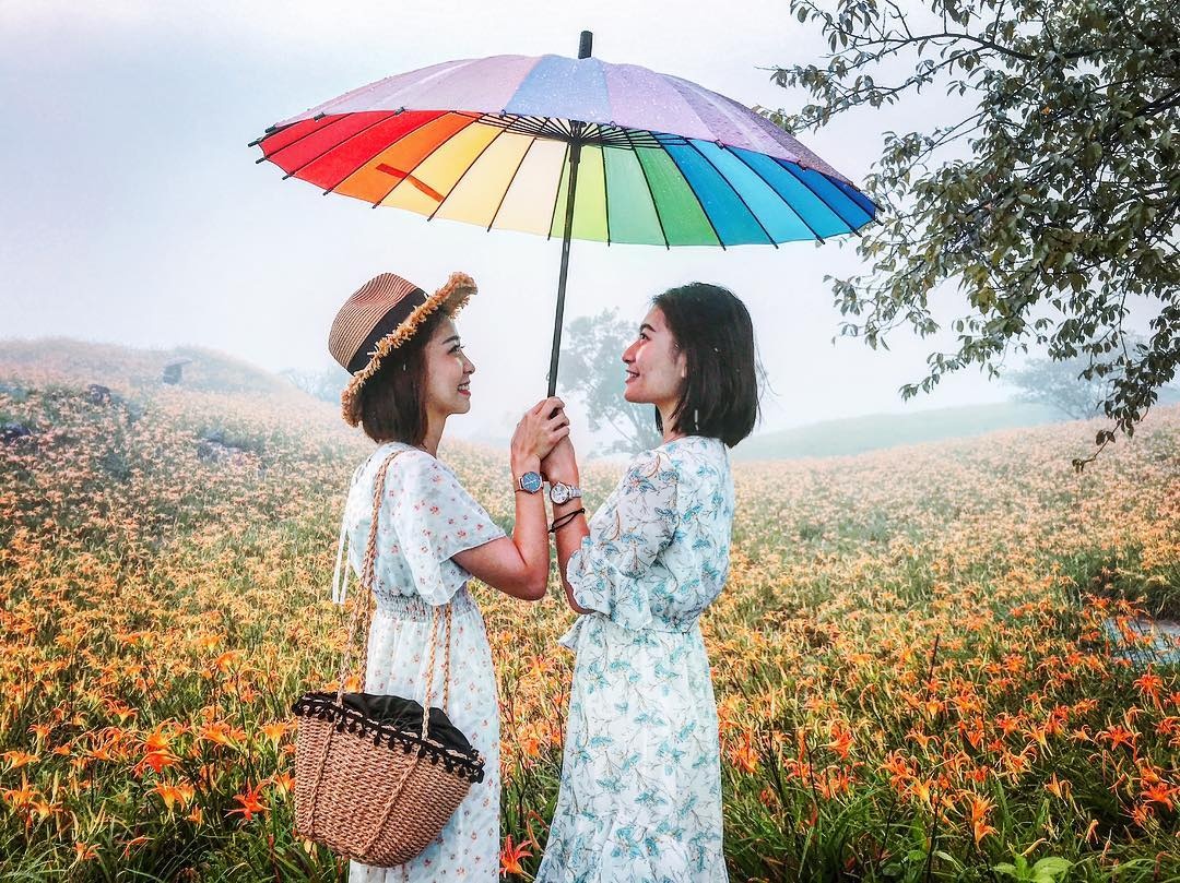 Chiem nguong xu so hoa kim cham dep nhu tranh ve o Dai Loan hinh anh