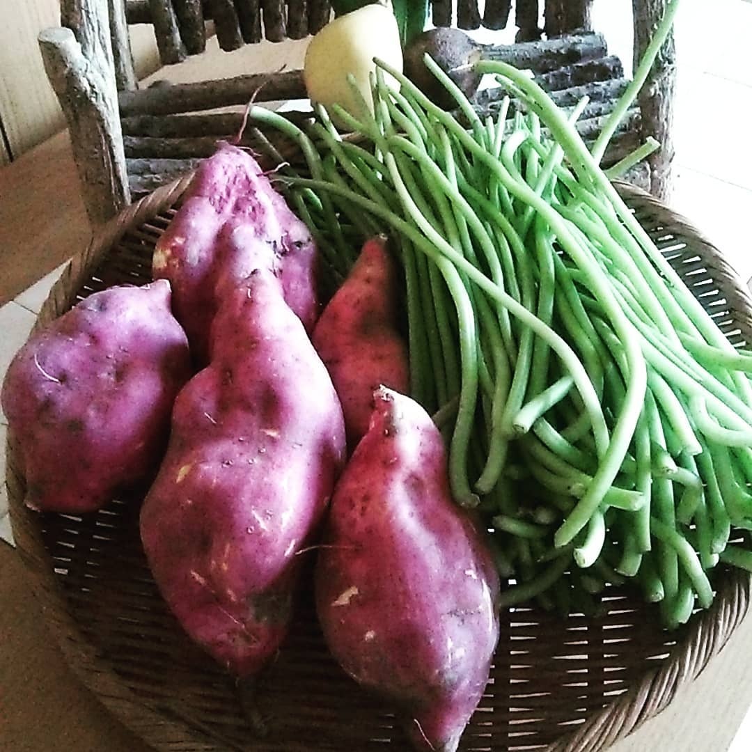 mon an mua thu o Nhat Ban anh 7