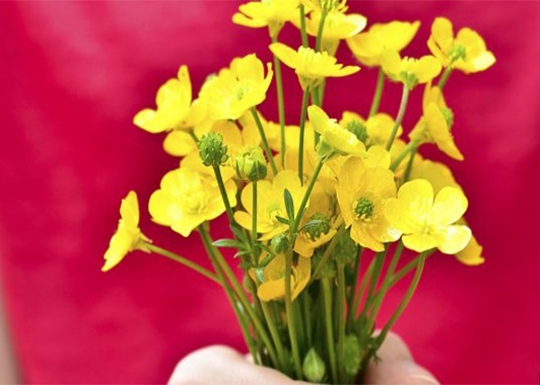 quy tac an uong anh 8