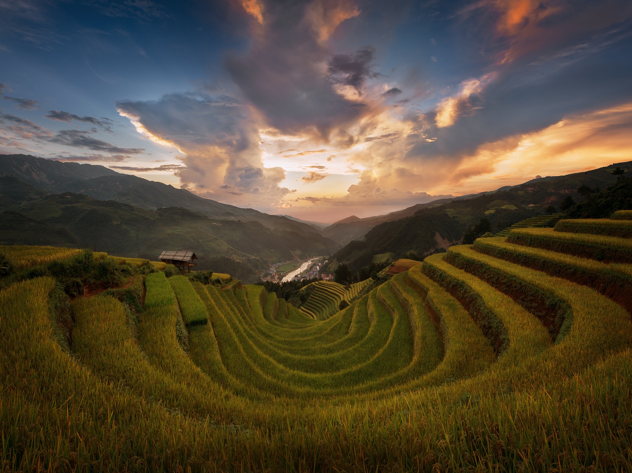 Mù Cang Chải mùa lúa chín ảnh 10 Mu Cang Chai mua lua chin anh 10