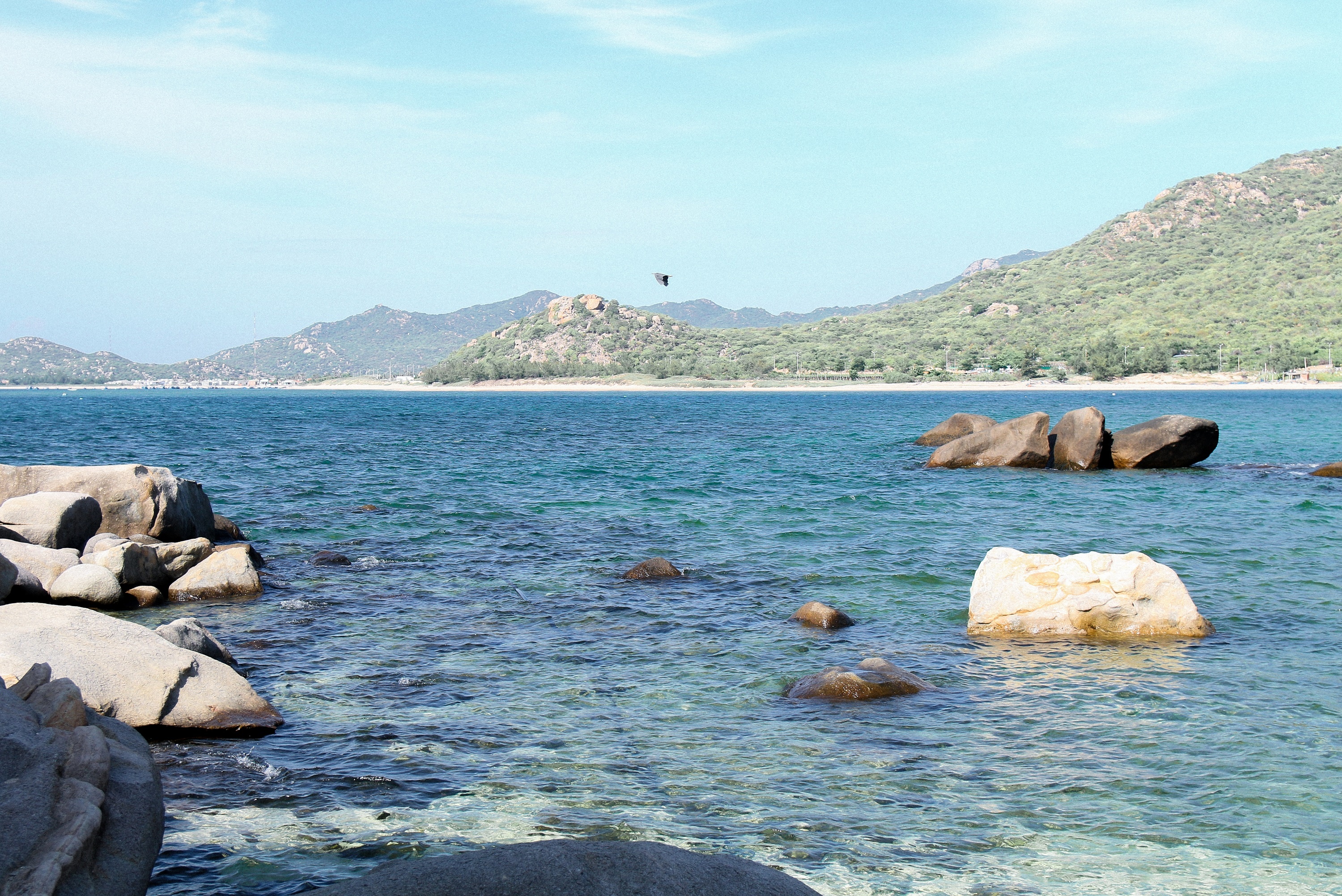 du lich Ninh Thuan,  Da Lat anh 11