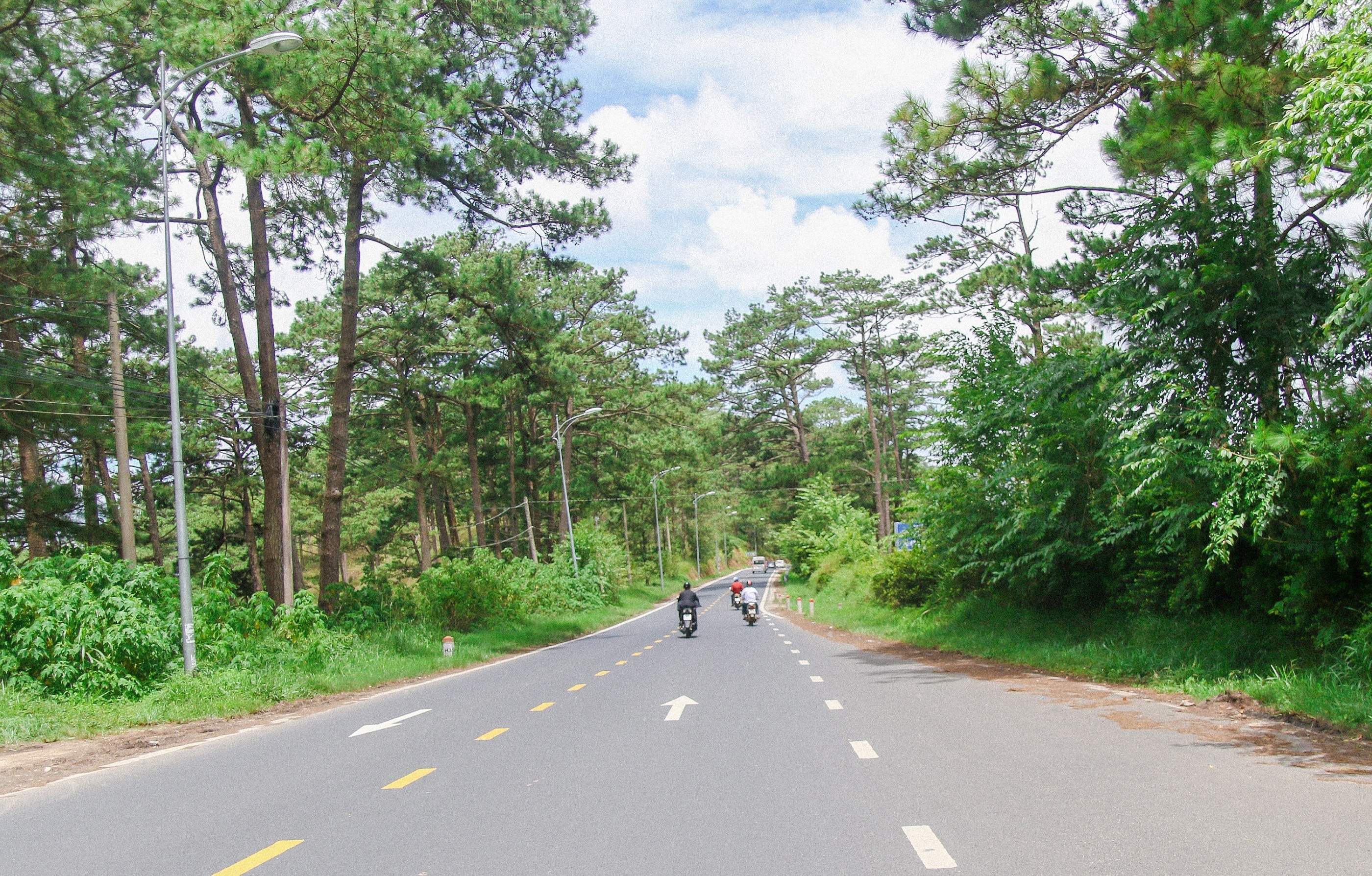 du lich Ninh Thuan,  Da Lat anh 15