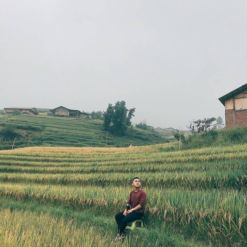 Tây Bắc mùa lúa chín ảnh 5 Tay Bac mua lua chin anh 5
