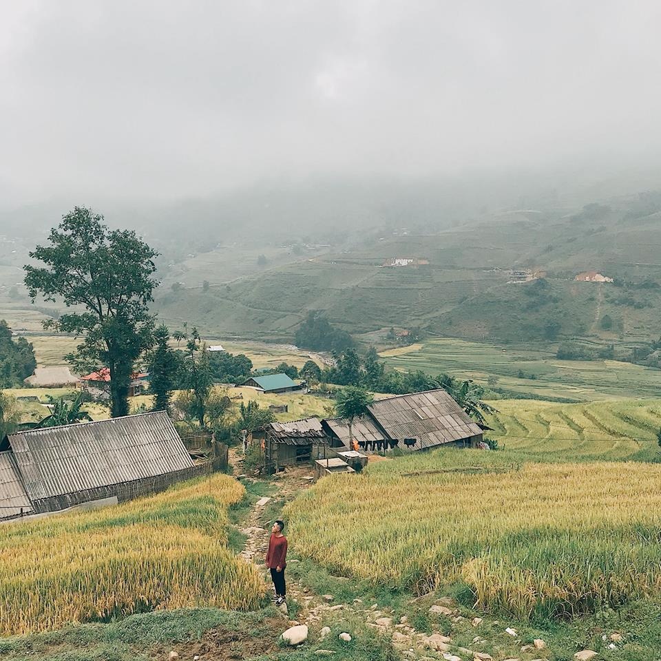 Tây Bắc mùa lúa chín ảnh 7 Tay Bac mua lua chin anh 7