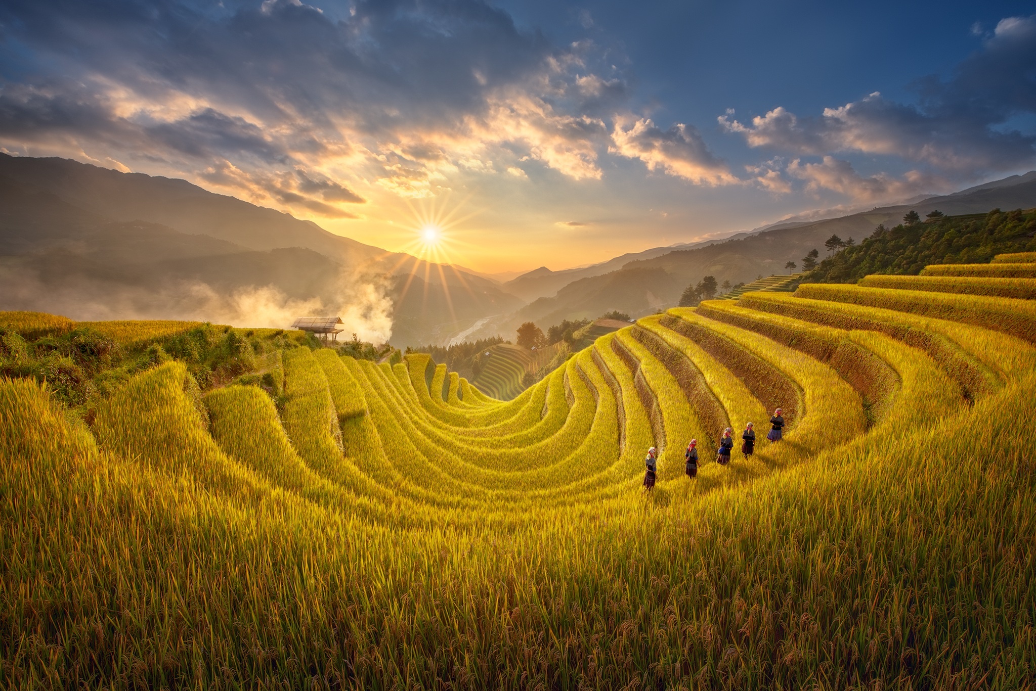 Den Tay Bac ngam mua lua chin nhu the nao? hinh anh