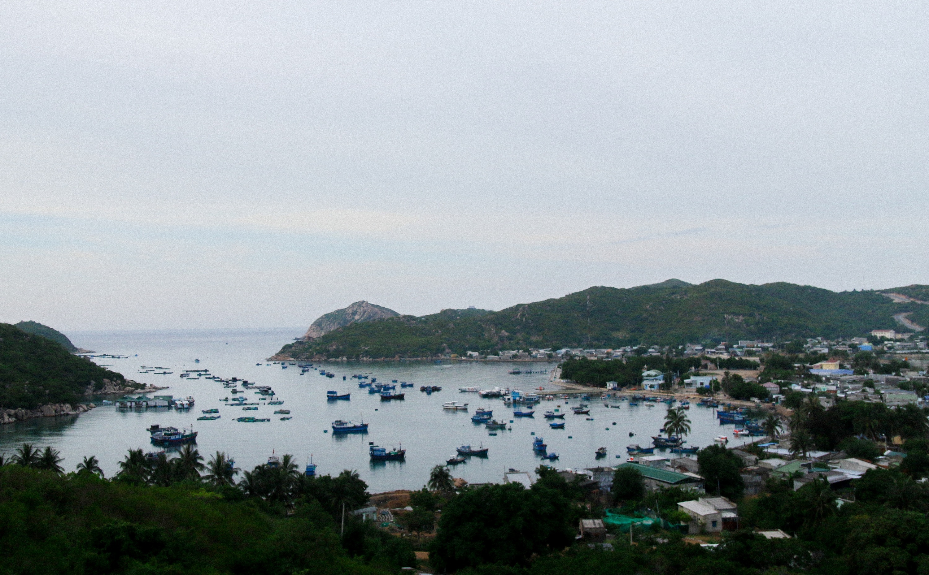 du lich Ninh Thuan,  Da Lat anh 6