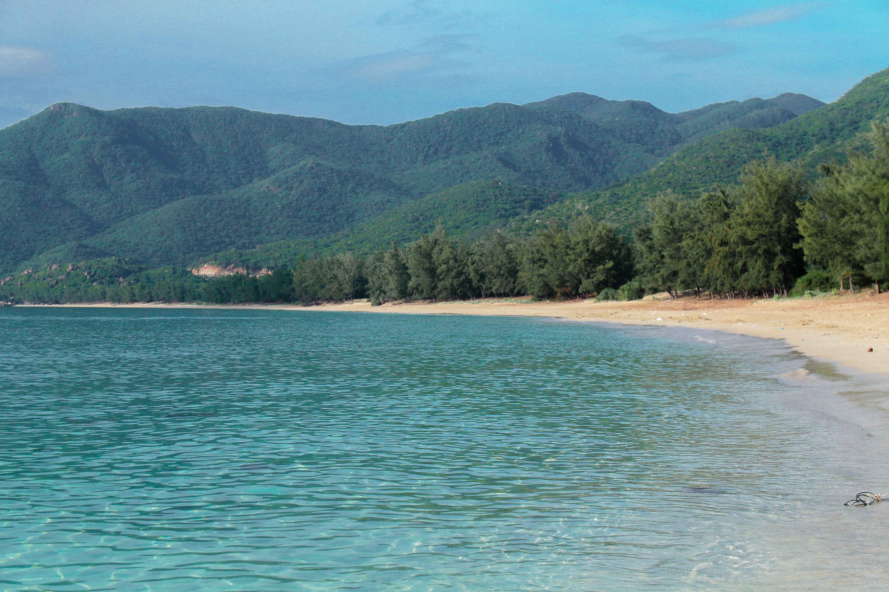 du lich Ninh Thuan,  Da Lat anh 10